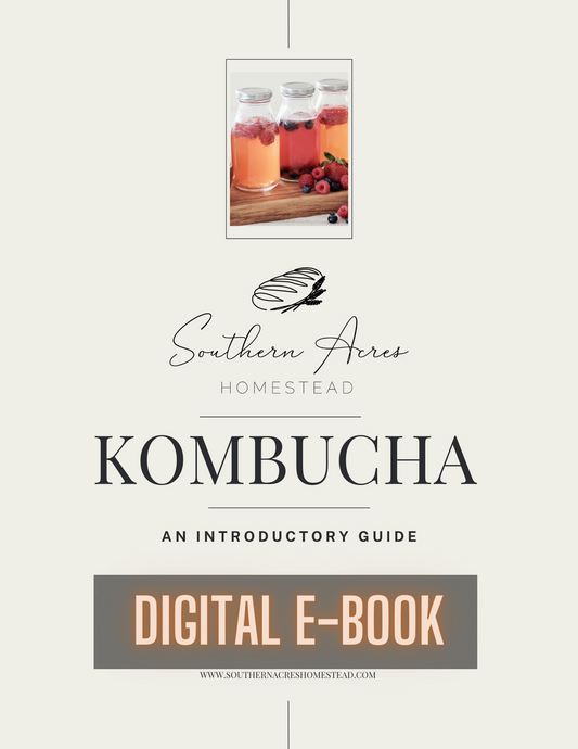 Kombucha: An Introductory Guide