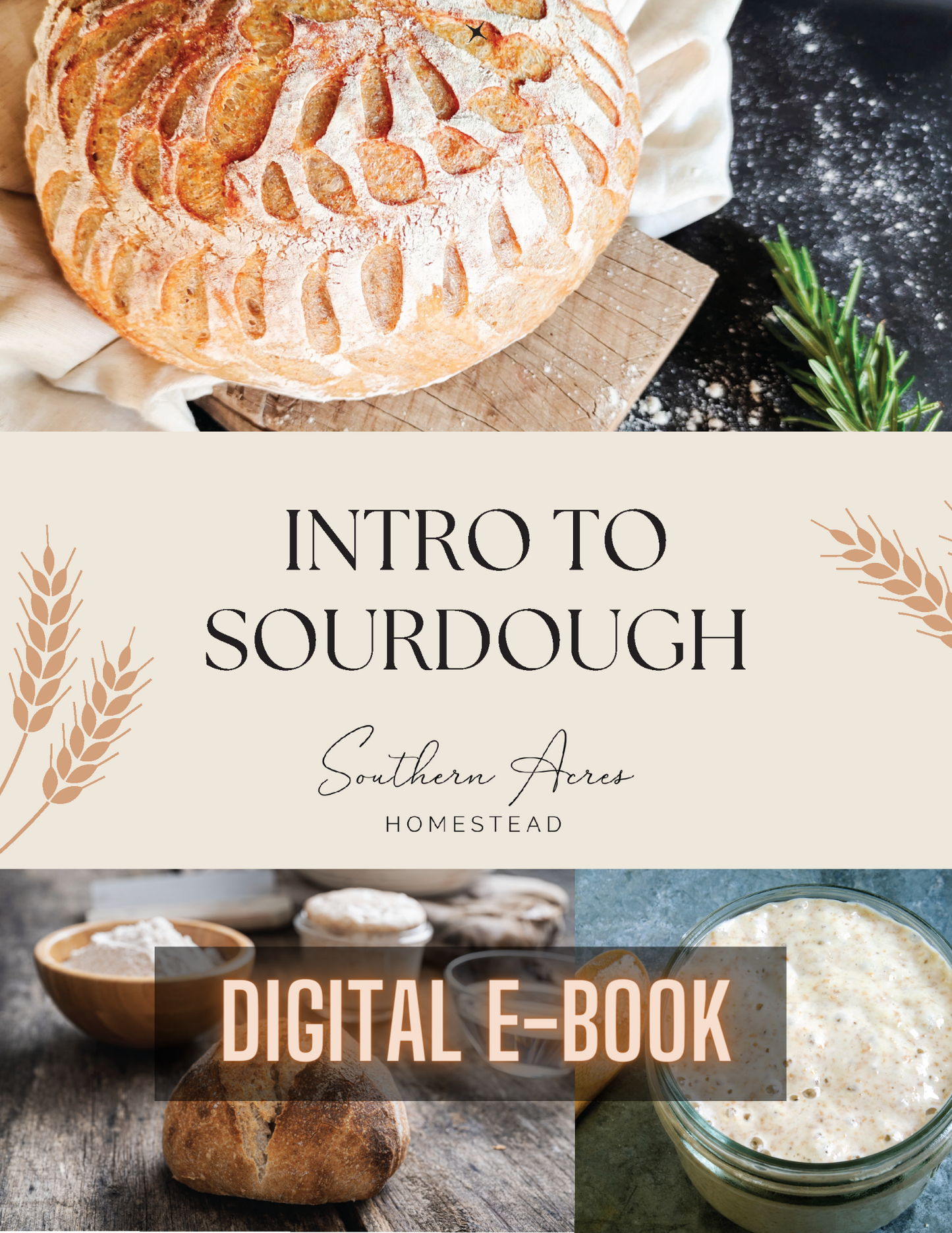 Intro to Sourdough E-Book