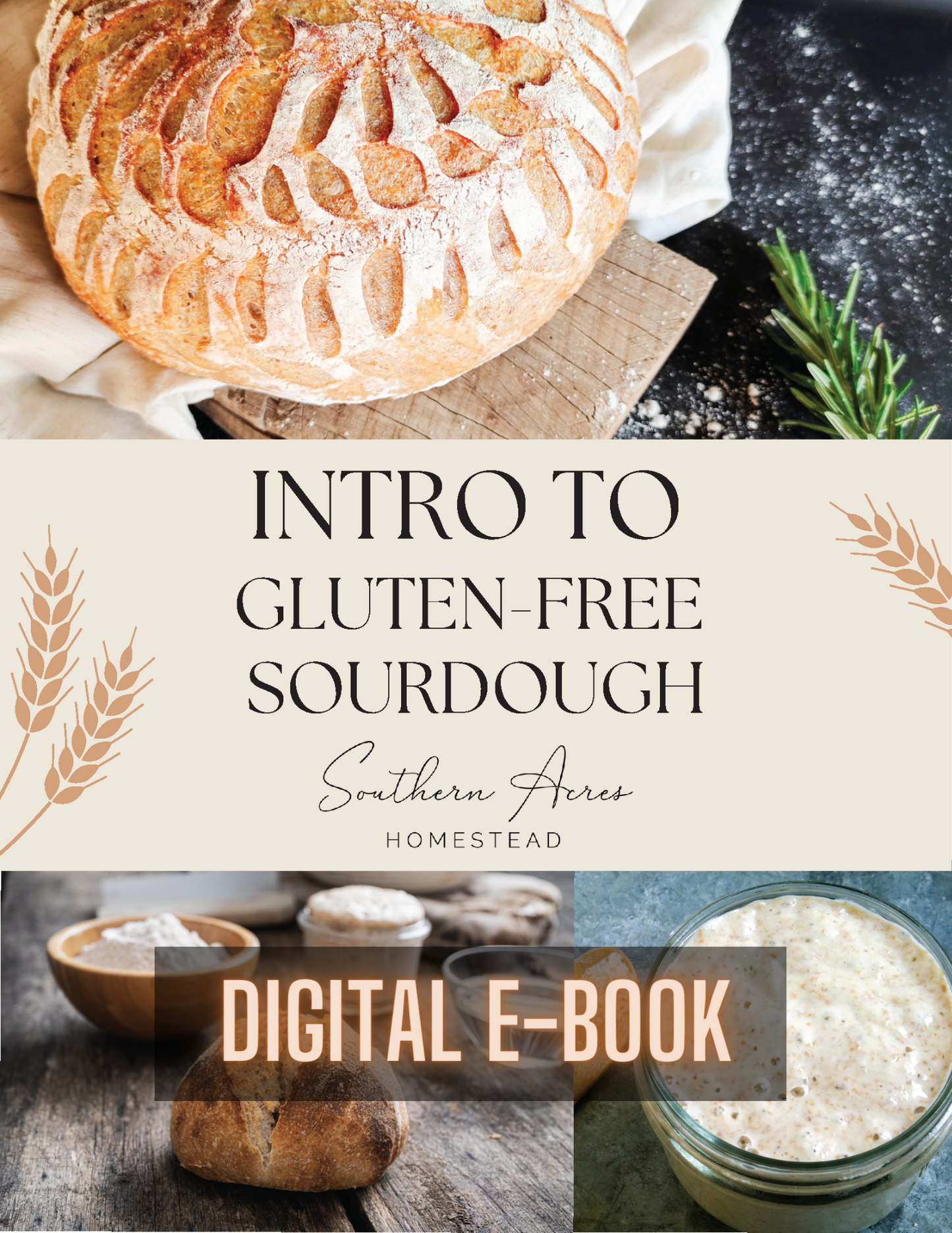 Introduction to Gluten-Free Sourdough