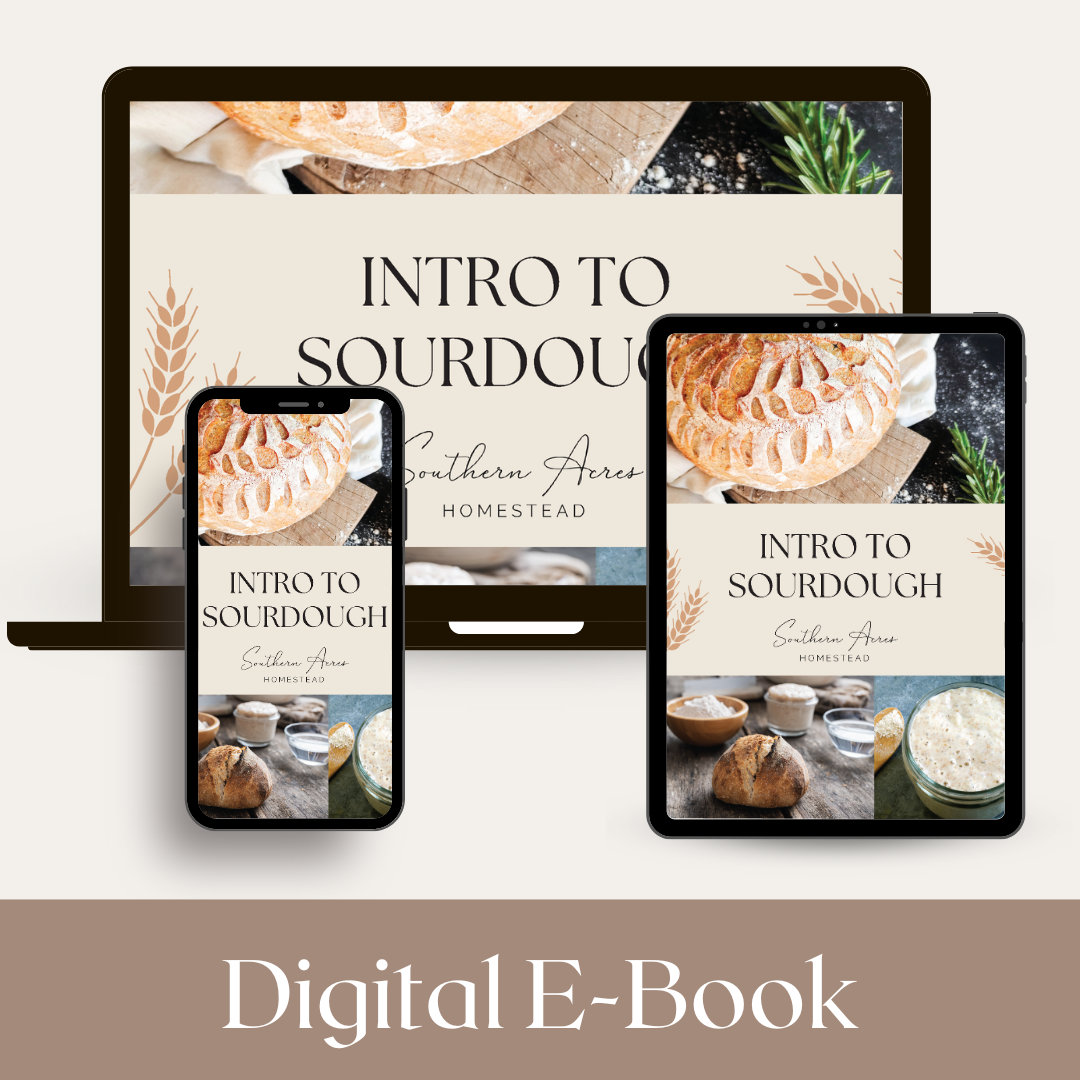 Intro to Sourdough E-Book