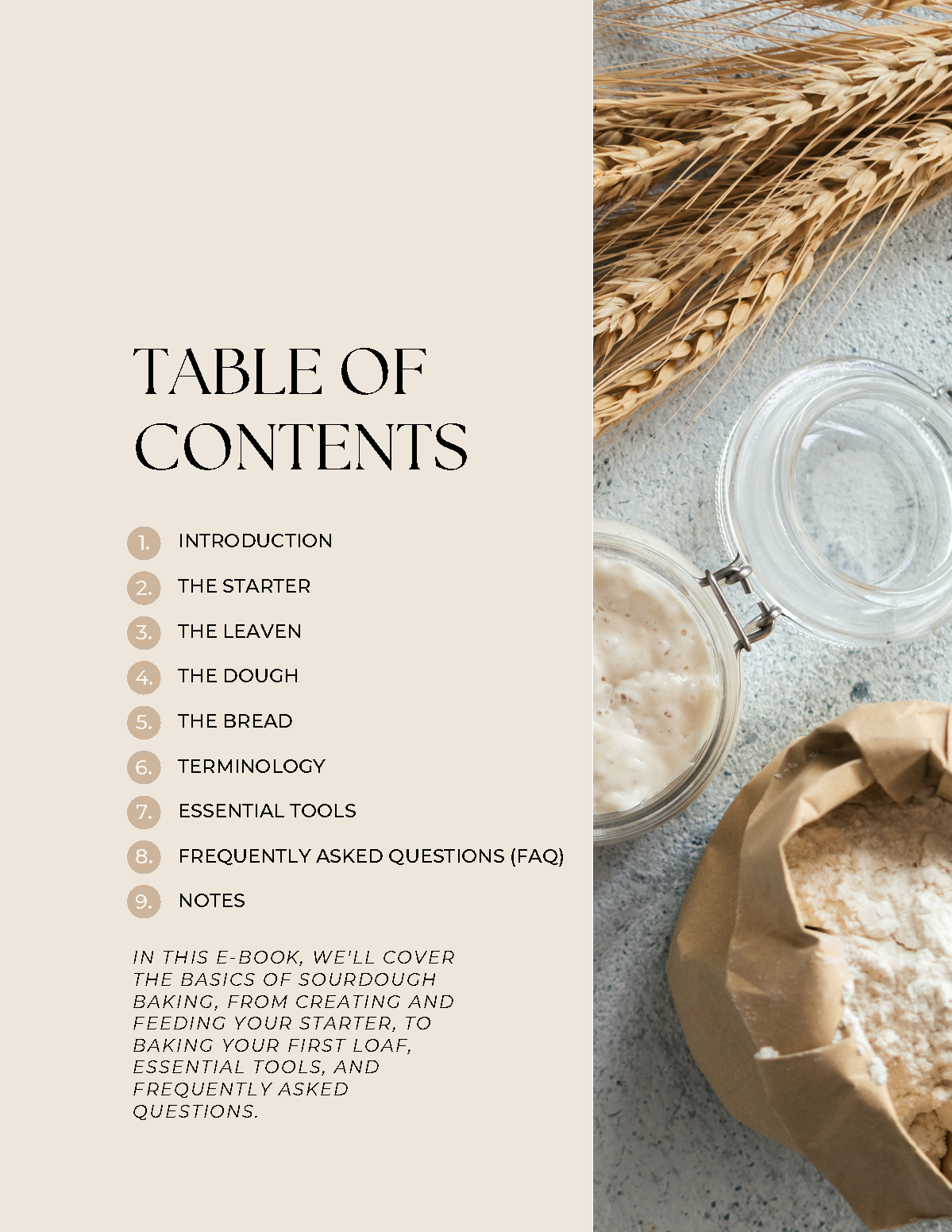 Intro to Sourdough E-Book